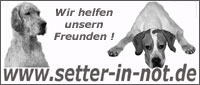 Setter in Not Setter in Not.de