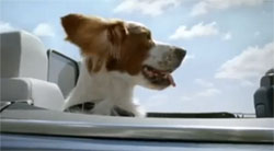 Cevin vom Duvenseer Moor im Aircap Video Cevin vom Duvenseer Moor im Aircap Video